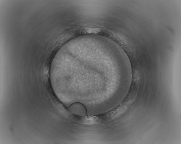 X0000110880321200907301439