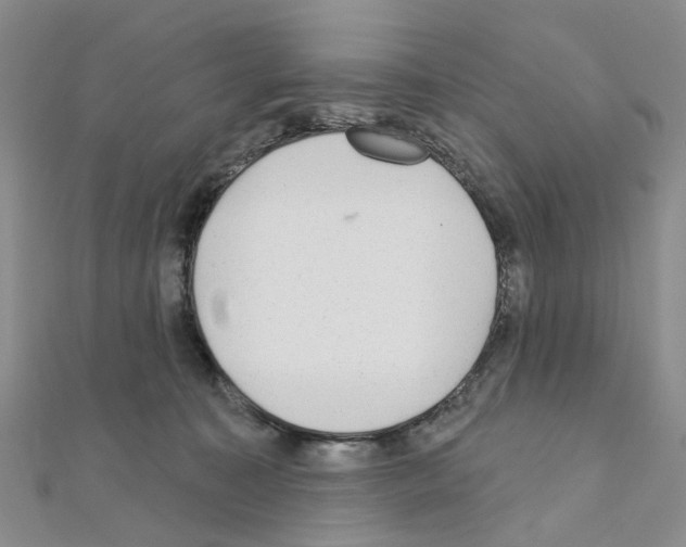 X0000110880323200907301439