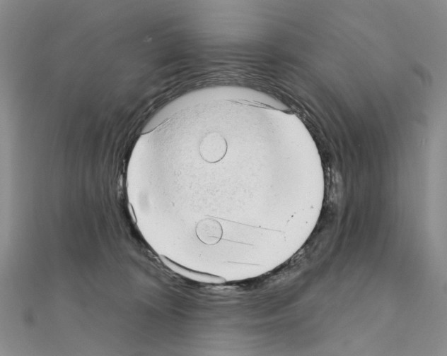 X0000110880324200907301439