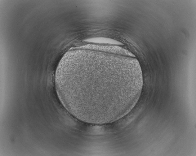 X0000110880325200907301439