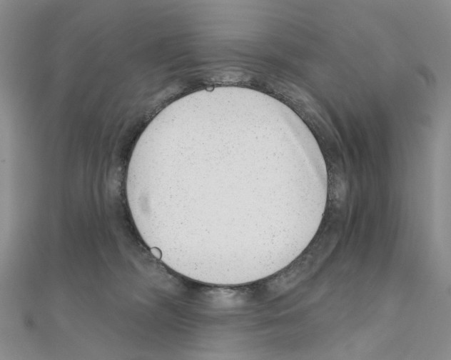 X0000110880326200907301439