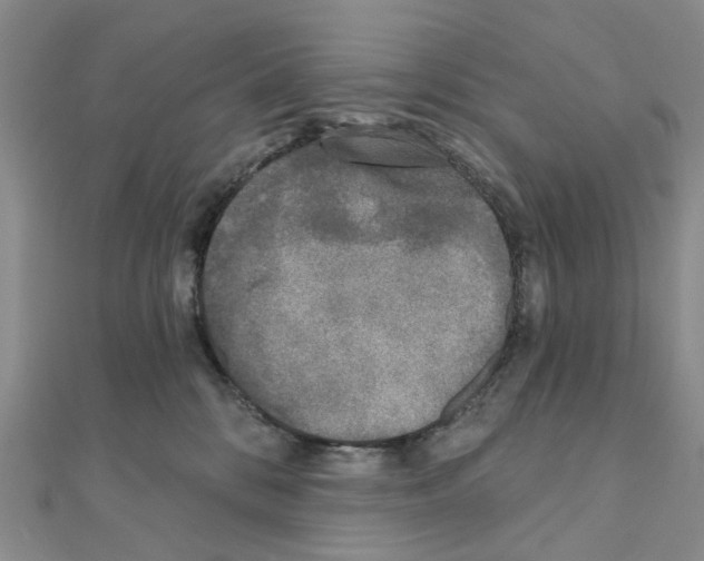 X0000110880328200907301439