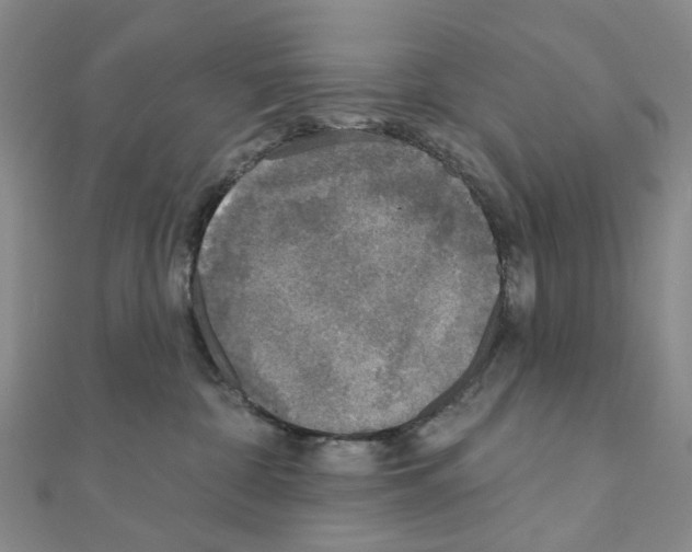 X0000110880332200907301439