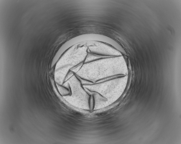 X0000110880333200907301439