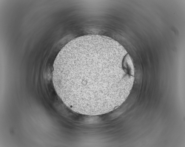 X0000110880334200907301439