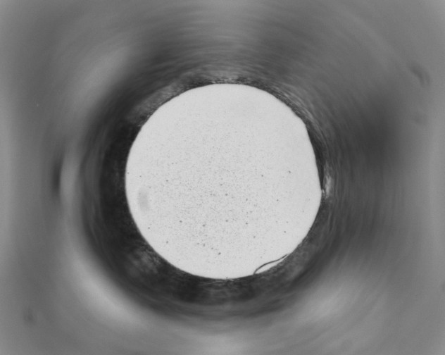 X0000110880335200907301439