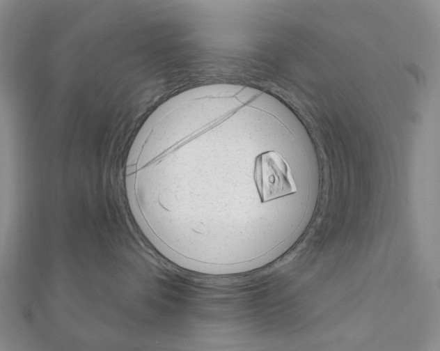 X0000110880336200907301439