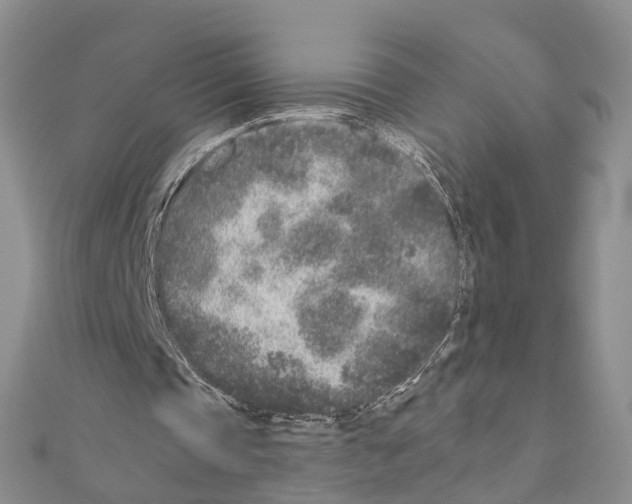 X0000110880337200907301438