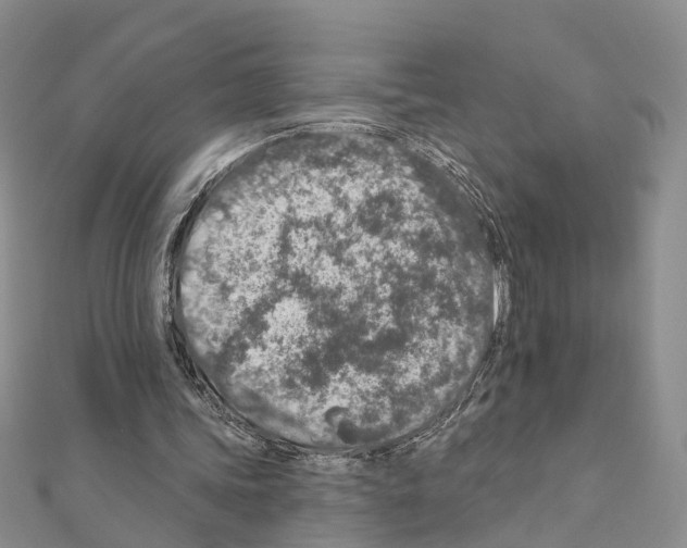 X0000110880339200907301438