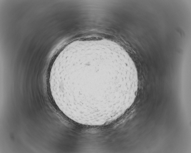 X0000110880341200907301438