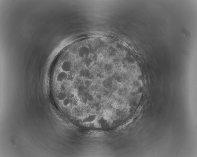 X0000110880343200907301438