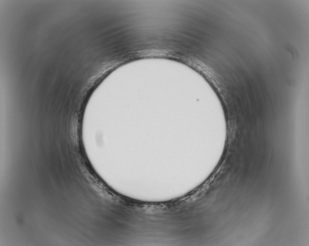 X0000110880345200907301438