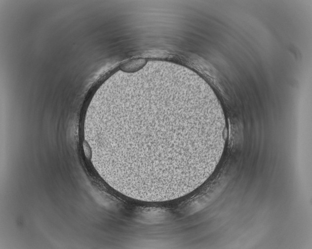 X0000110880348200907301439