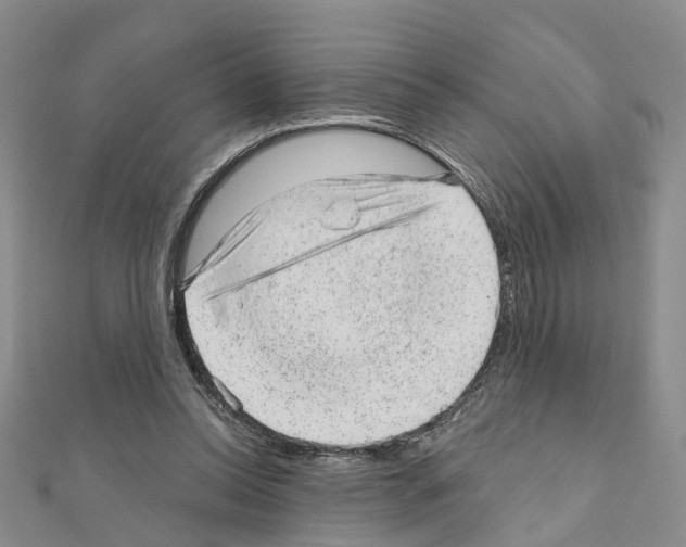 X0000110880350200907301439