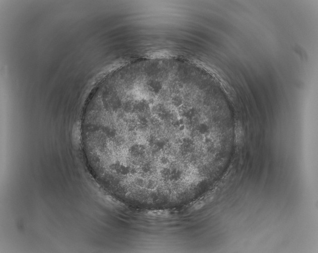 X0000110880353200907301439