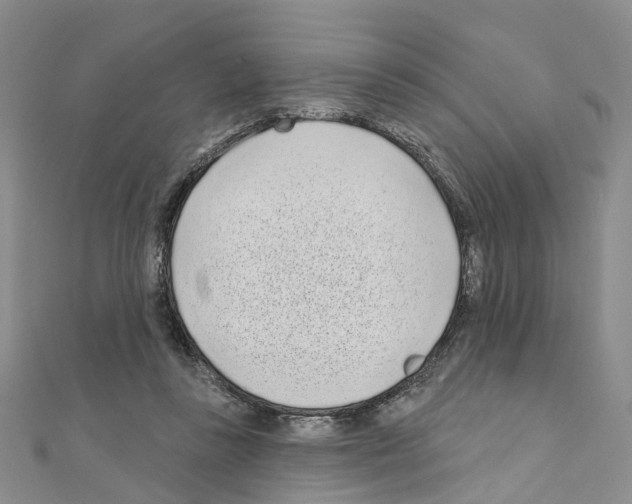 X0000110880355200907301439