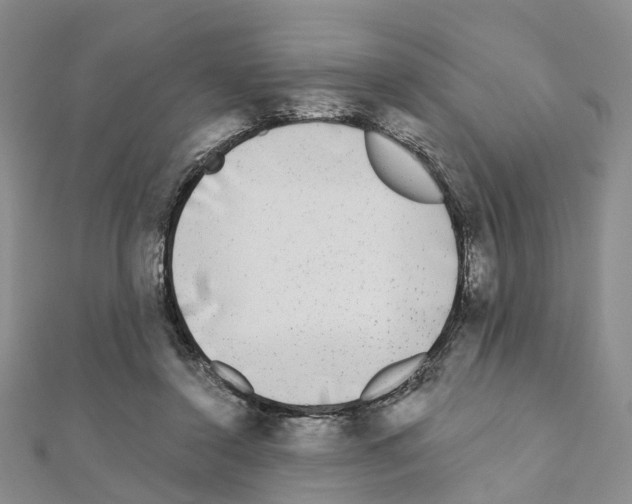 X0000110880356200907301439