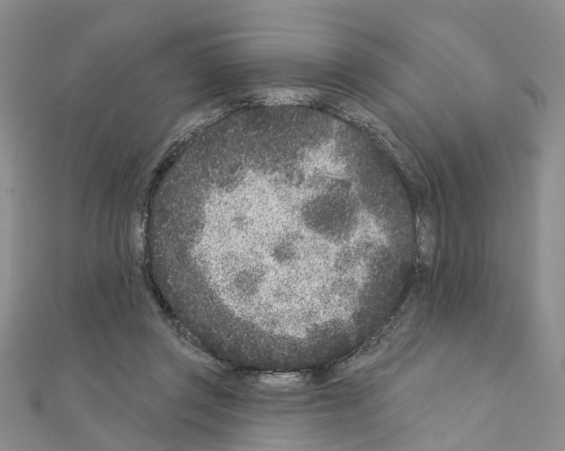 X0000110880357200907301439