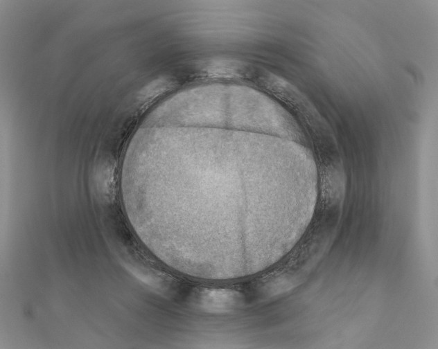 X0000110880360200907301439