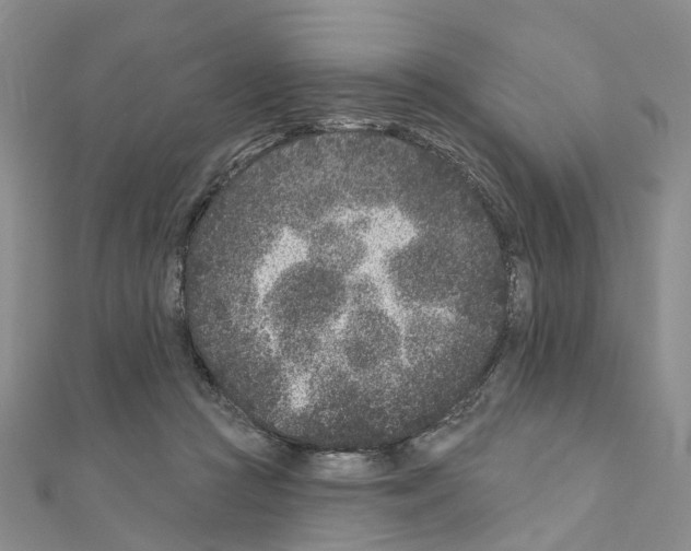 X0000110880361200907301439