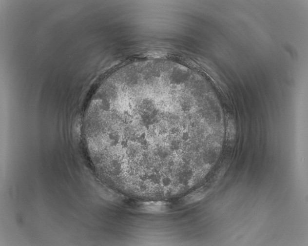 X0000110880363200907301439