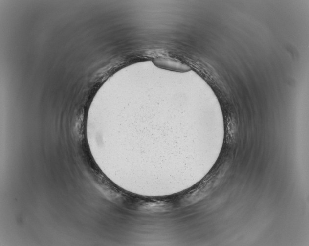 X0000110880364200907301439