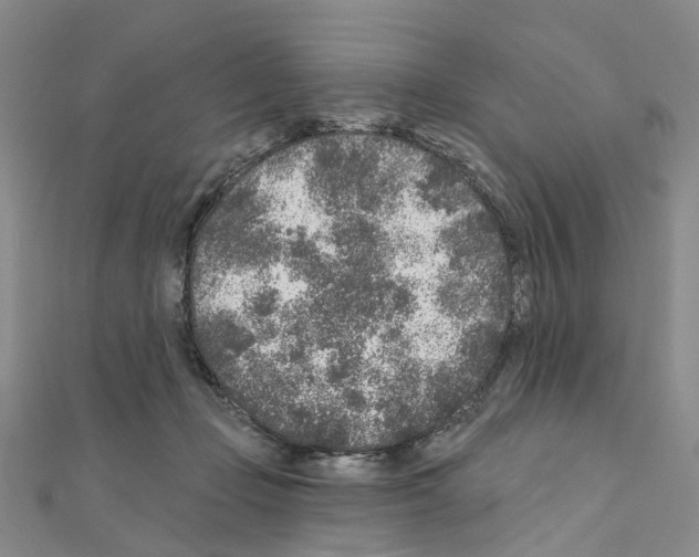 X0000110880365200907301439