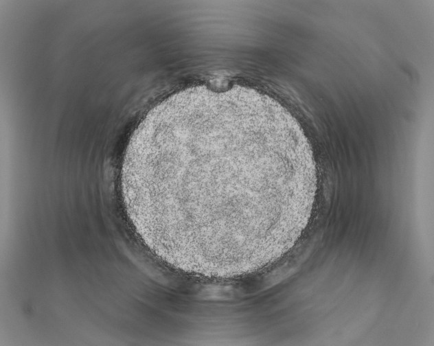 X0000110880366200907301439