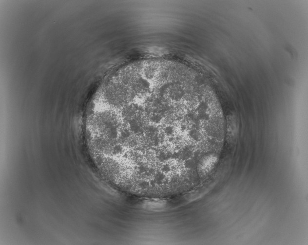 X0000110880369200907301439