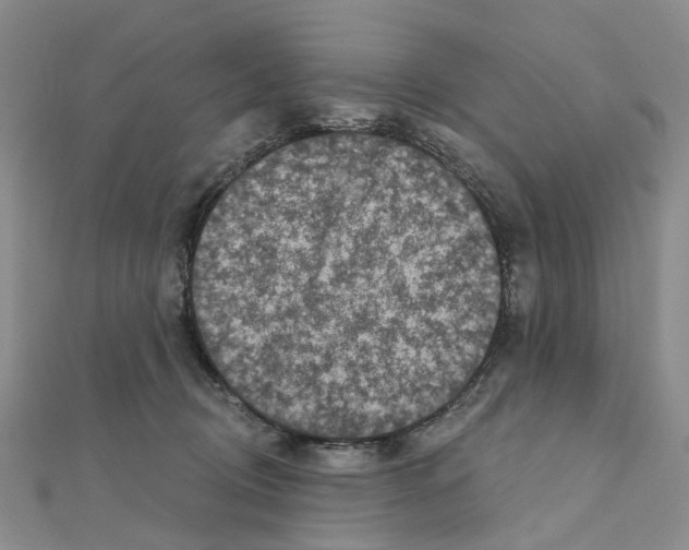 X0000110880370200907301439