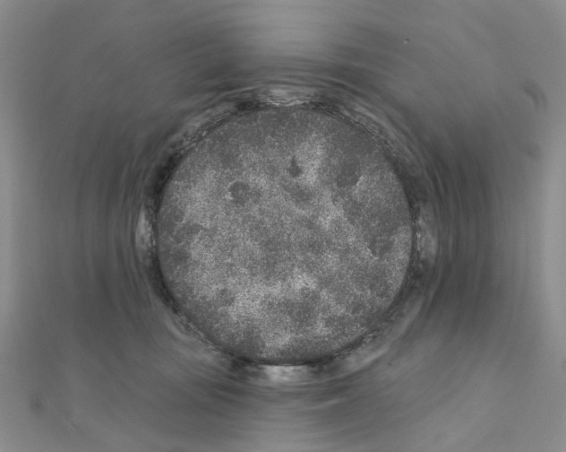 X0000110880371200907301439