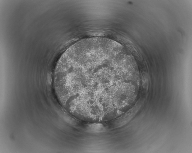 X0000110880374200907301439