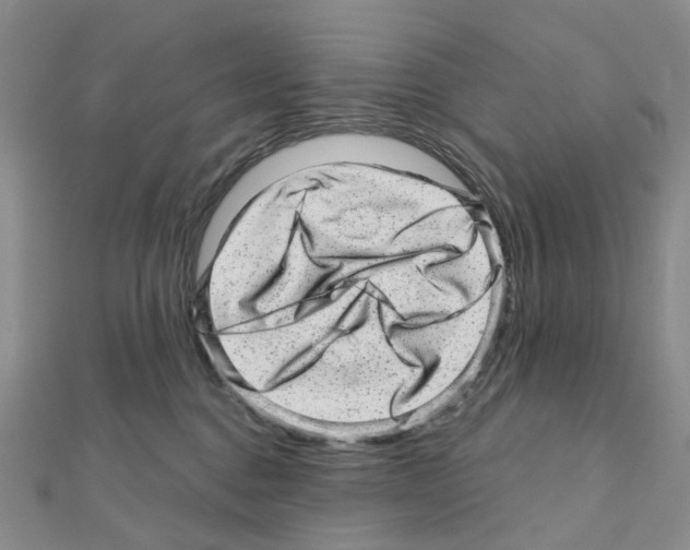 X0000110880376200907301439