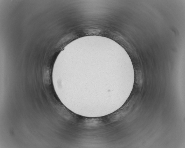 X0000110880378200907301439