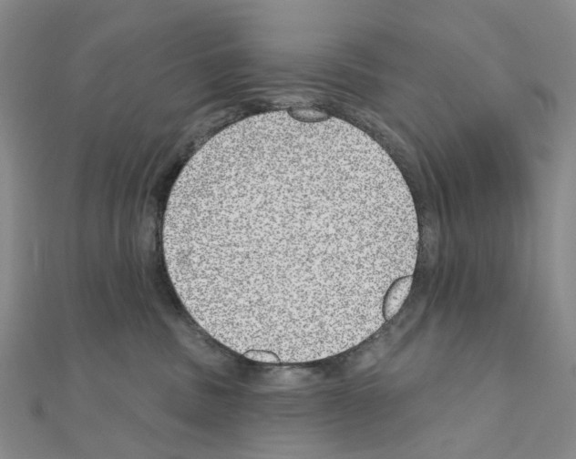 X0000110880379200907301439