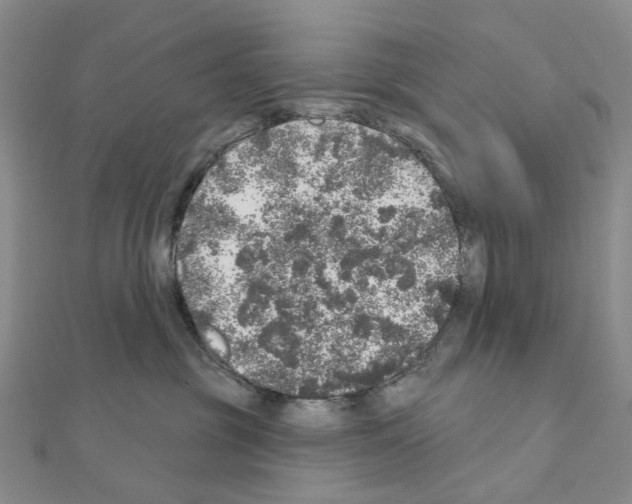 X0000110880381200907301439