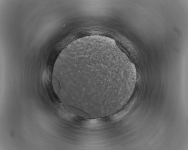 X0000110880382200907301439