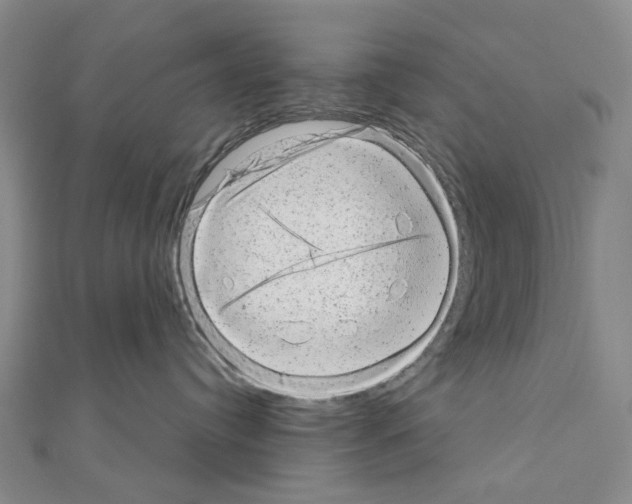 X0000110880384200907301439