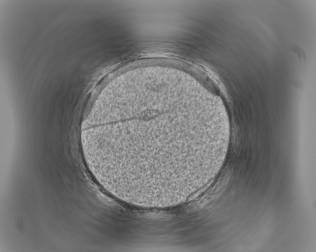 X0000110880385200907301438