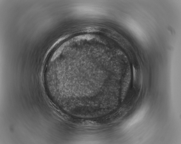 X0000110880387200907301438