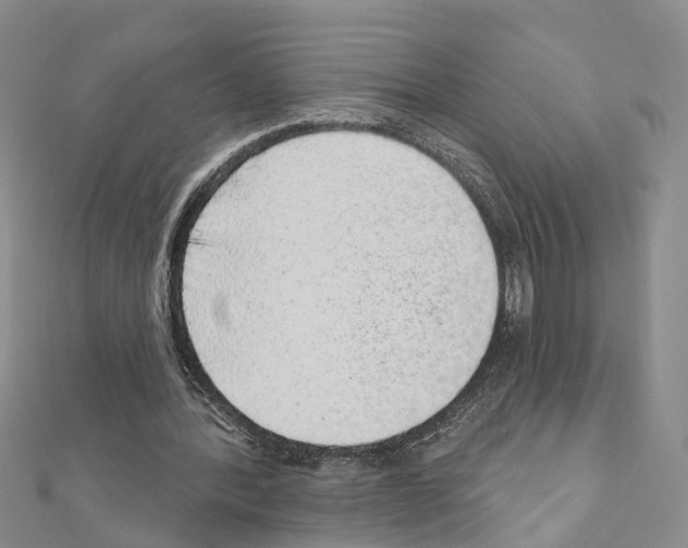 X0000110880388200907301438