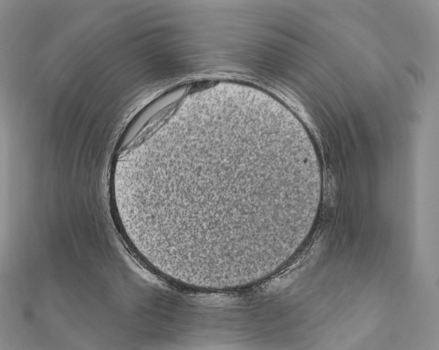 X0000110880389200907301438