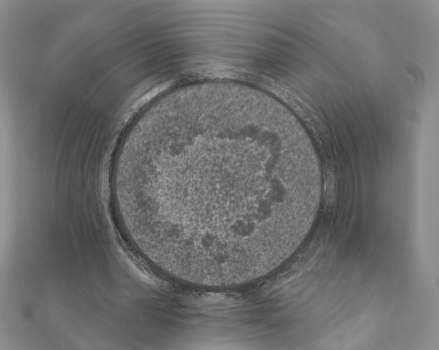 X0000110880390200907301438