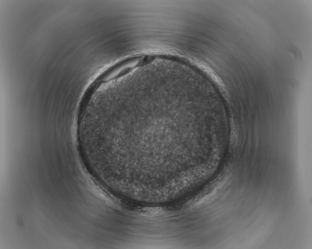 X0000110880391200907301438