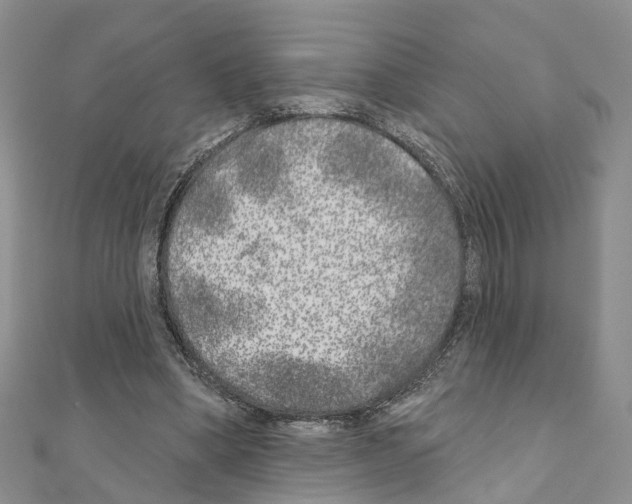 X0000110880394200907301438