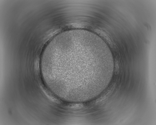 X0000110880398200907301438