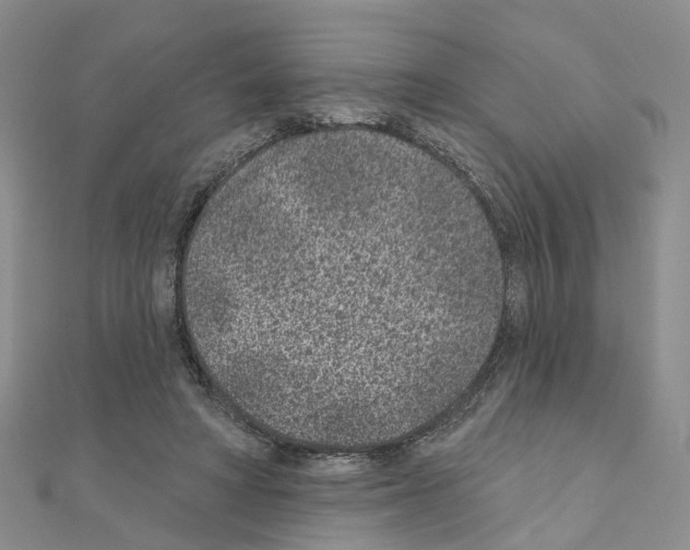 X0000110880402200907301438