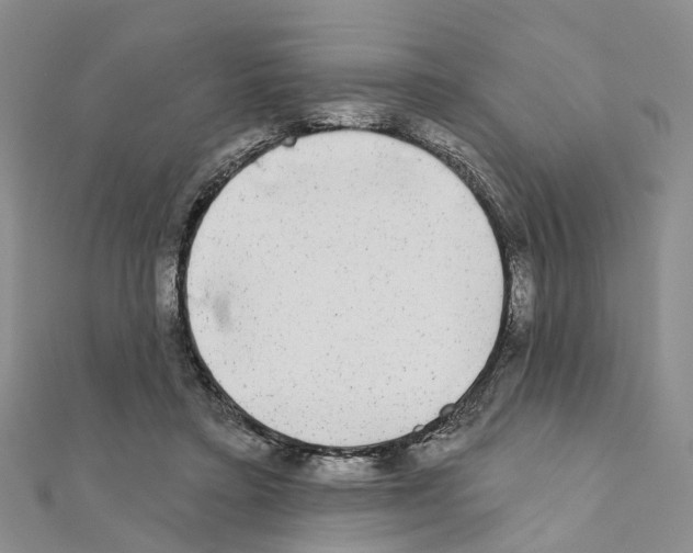 X0000110880403200907301438