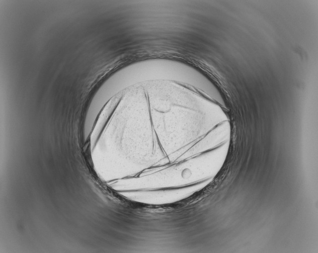 X0000110880405200907301438