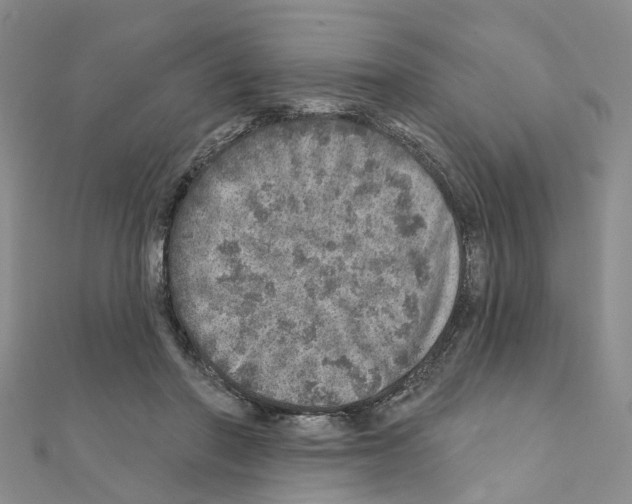 X0000110880406200907301438